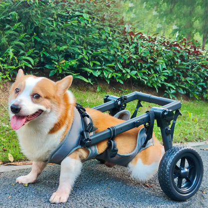 Pet Rehabilitation Mobility Cart