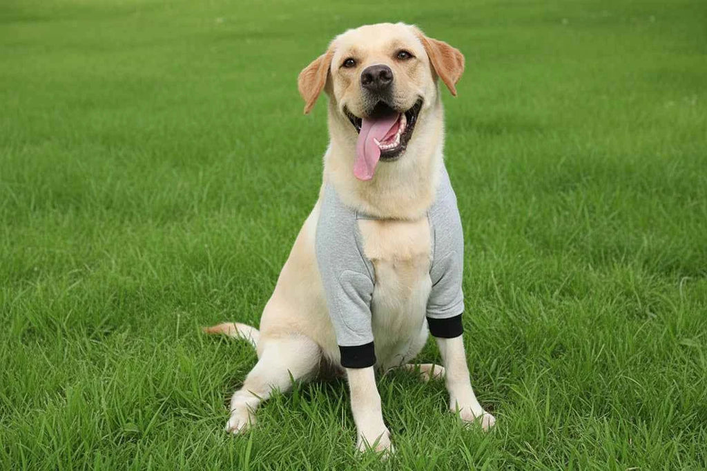 Pet Front Leg Recovery Sleeve