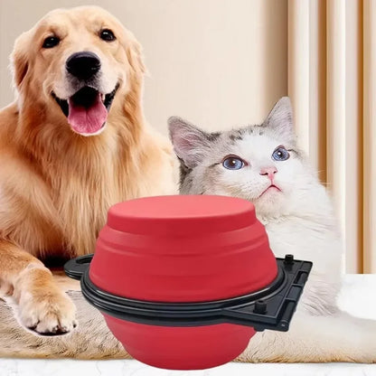 Travel Foldable Double Food Bowl