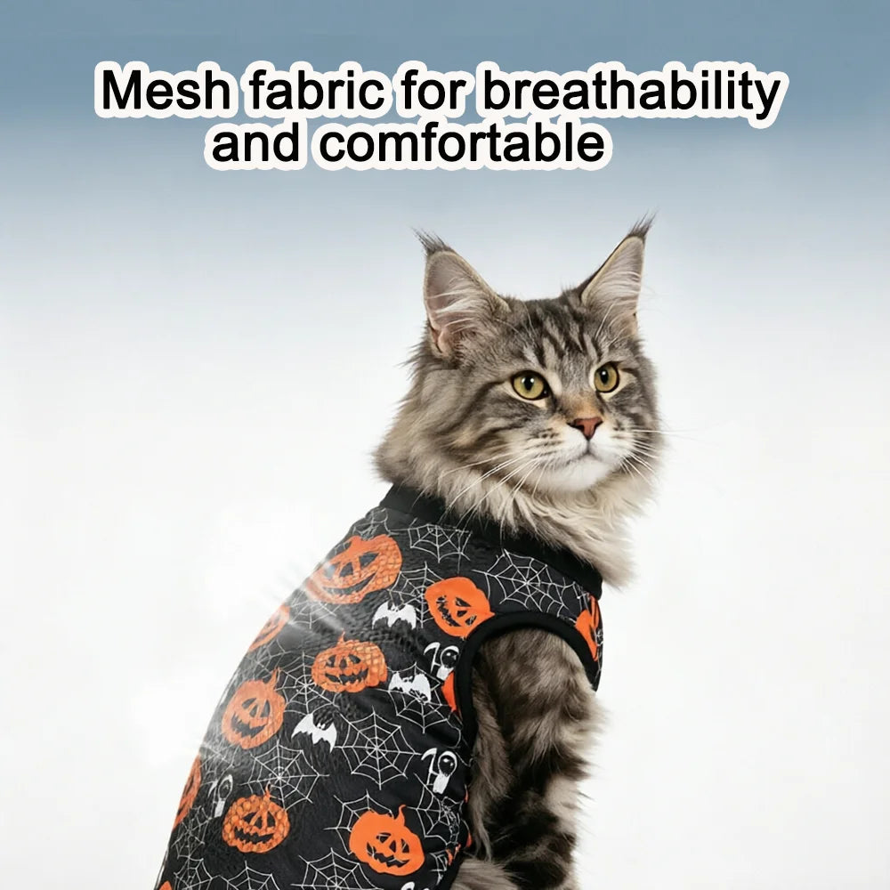 Kitty Halloween Costume - Waggy World
