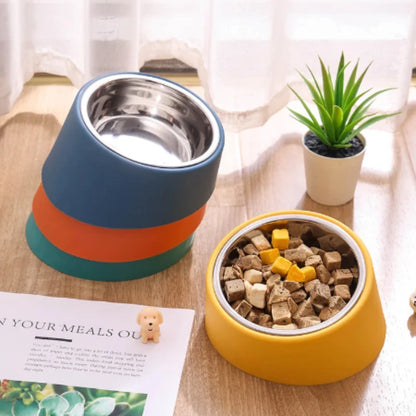 Slanted Pet Bowl