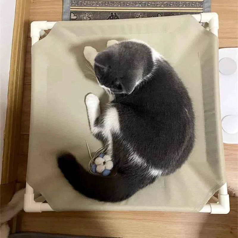 Pet Canopy Bed