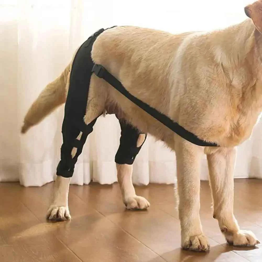 Dog Leg Support Brace