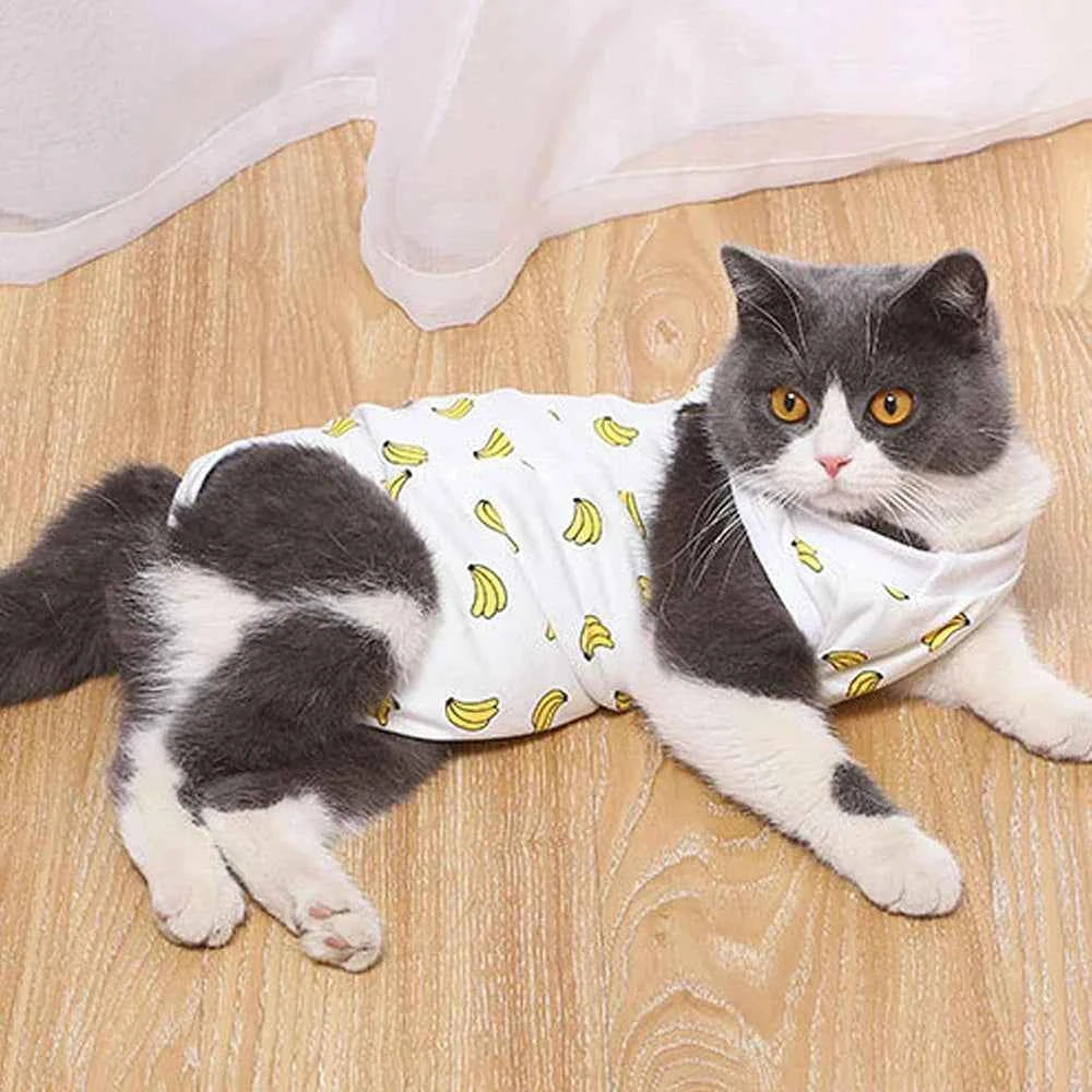 Kitty Pajamas