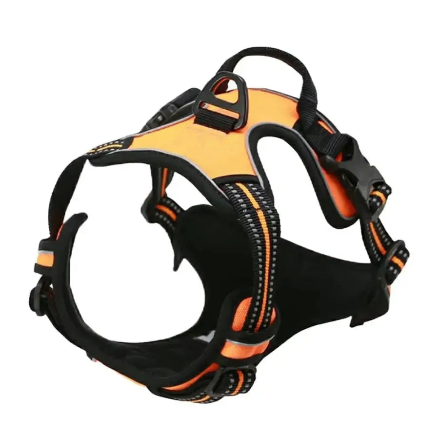 Dog Harness Collar & Leash Set Front View