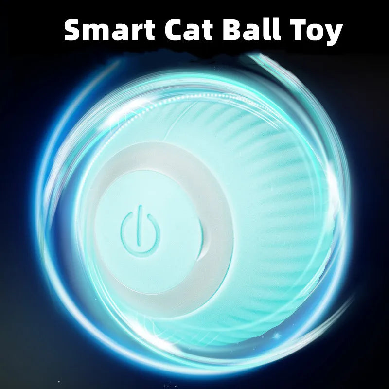 Electric Fetch Ball