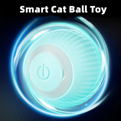 Electric Fetch Ball