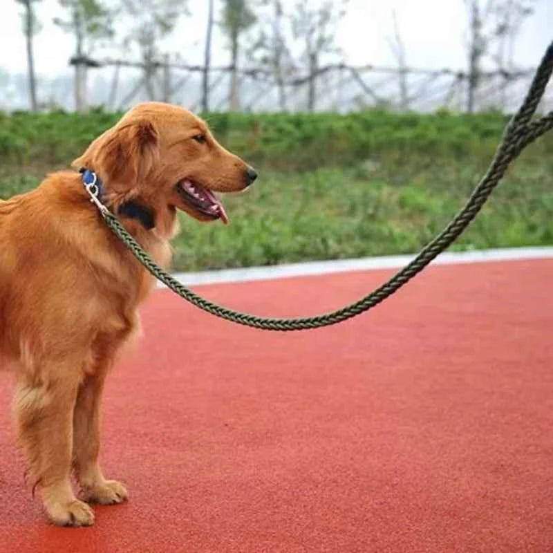 Large Breed Nylon Leash