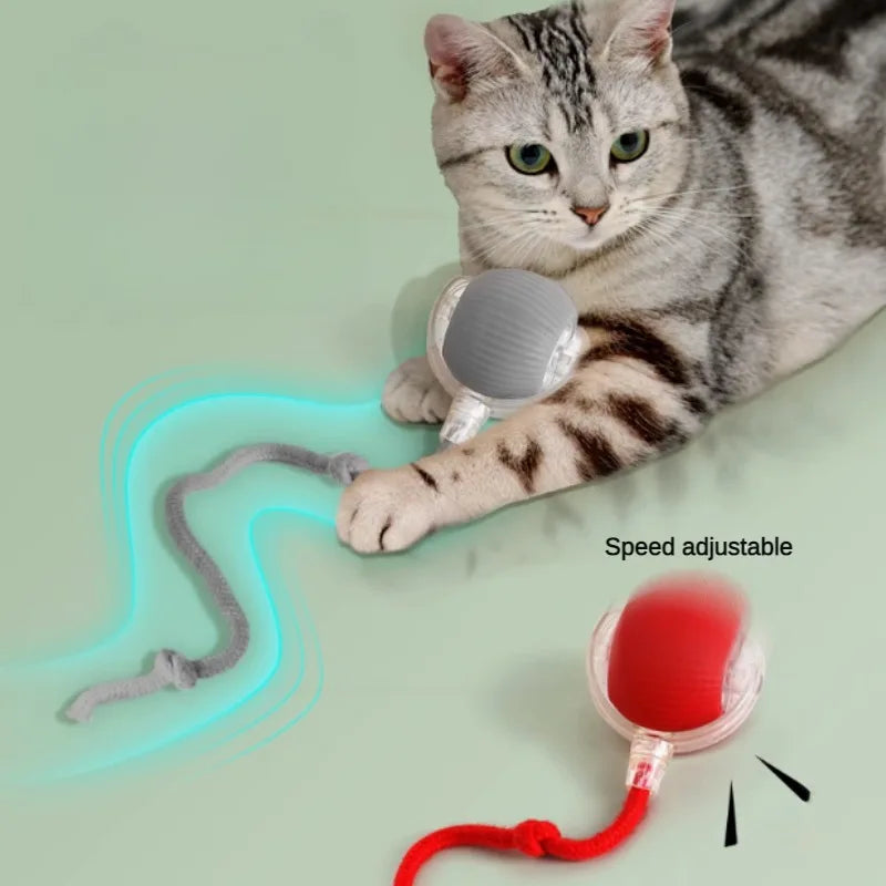 Automatic Rolling Ball