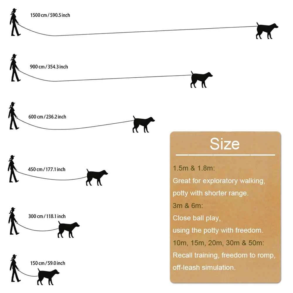 Standard Nylon Leash