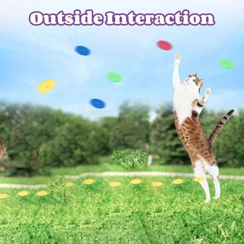 Feline Fetch gun