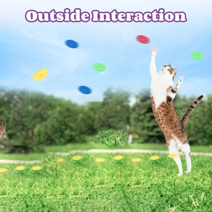 Feline Fetch gun