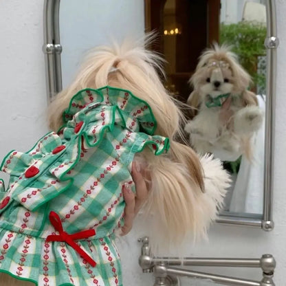 Small Breed Summer Dress