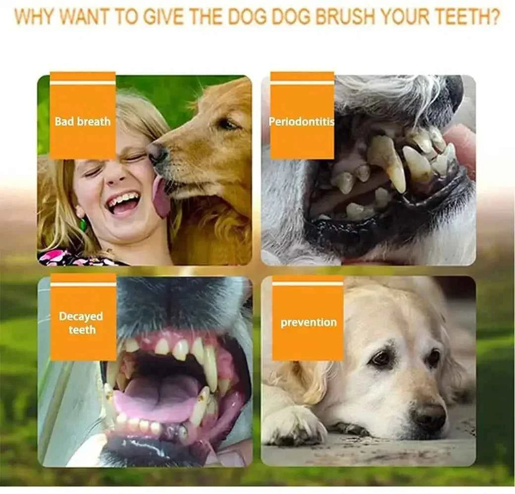 Pet finger toothbrush 3/1pcs