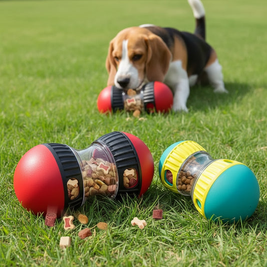 Elliptical Treat Rolling Ball