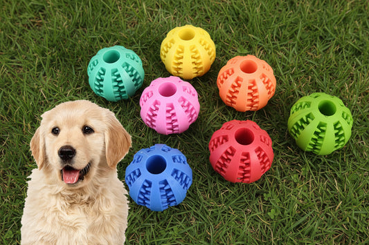 Dog Treat Ball