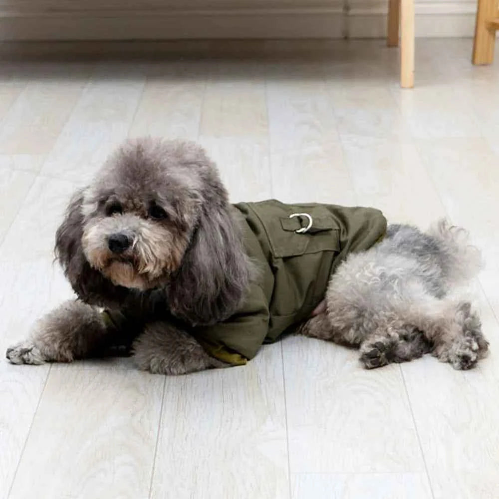 Doggy Jacket