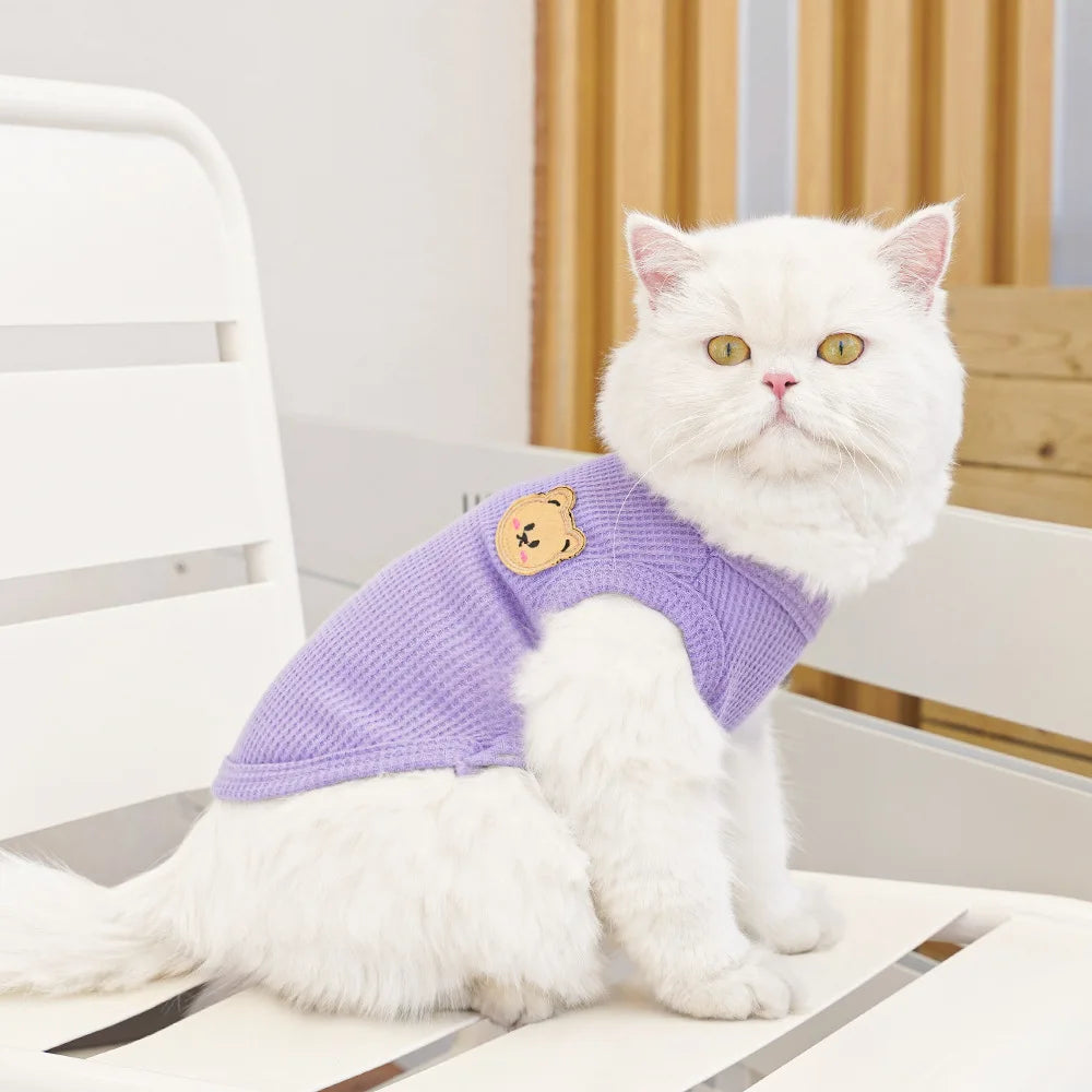Cat Clothes Waffle Bear Pet Vest Summer Teddy Chihuahua Small Dog Two legged Clothes Cat Puppy Clothes Pet Costume