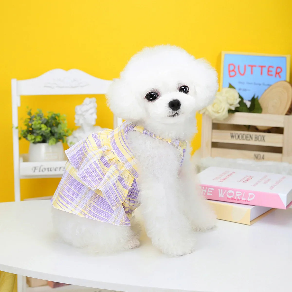 Summer Pet Skirts