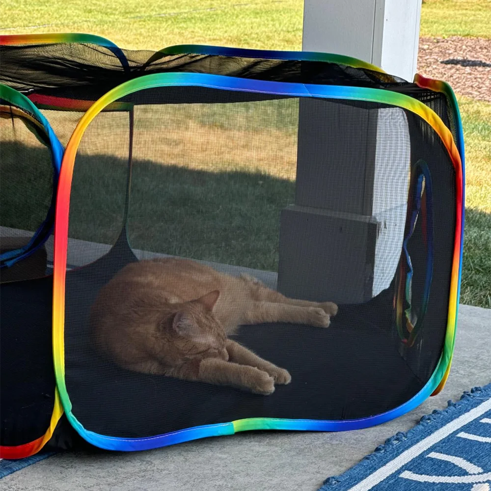 Outdoor Cat Play Tent