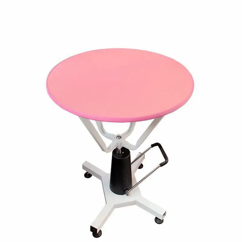 Pet Grooming Table - Waggy World