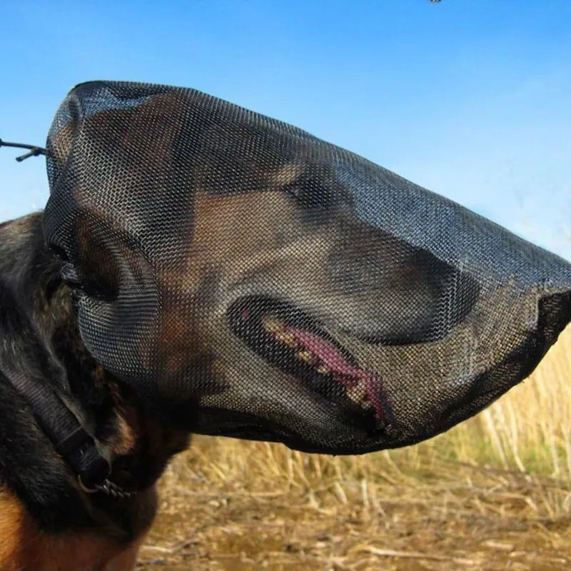 Adjustable Dog Safety Face Mask - Waggy World