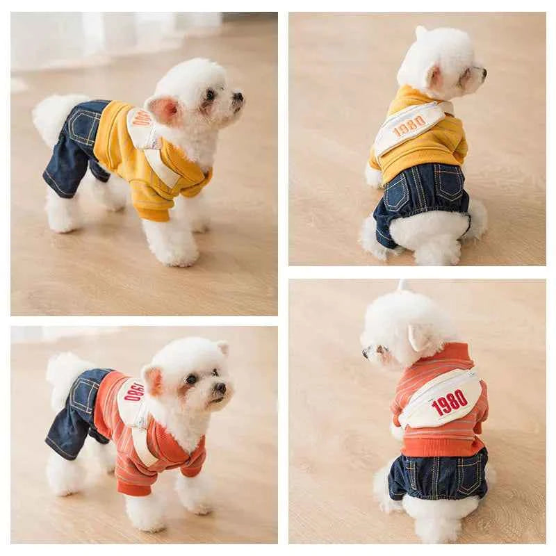Pup School Outfit