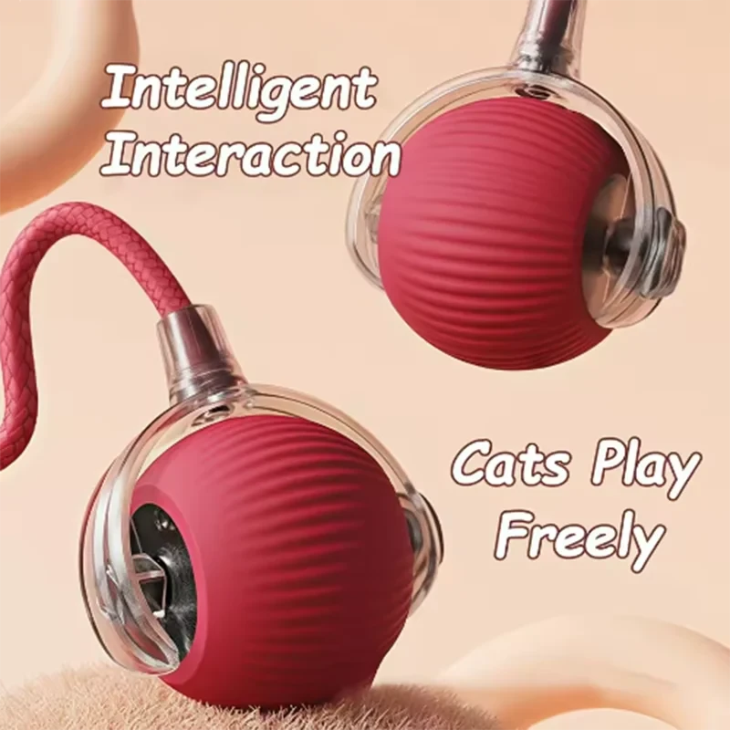 Pet Auto Fetch Ball