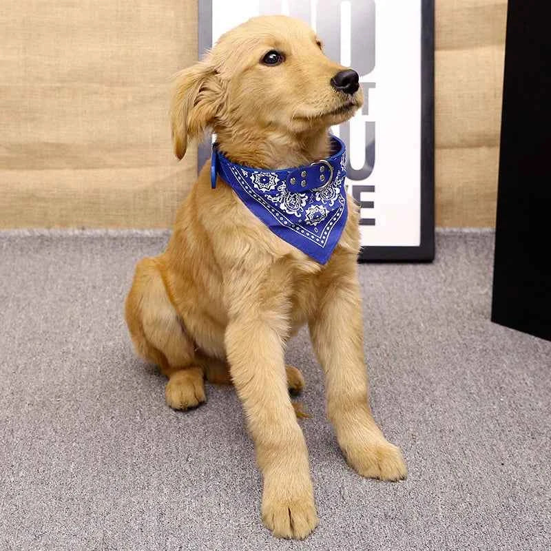 Bandana Collar
