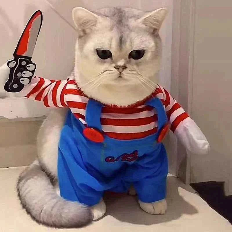 Chucky Cat Costume