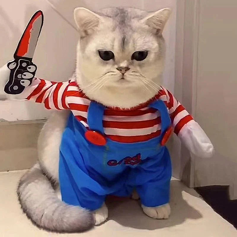 Chucky cat costume
