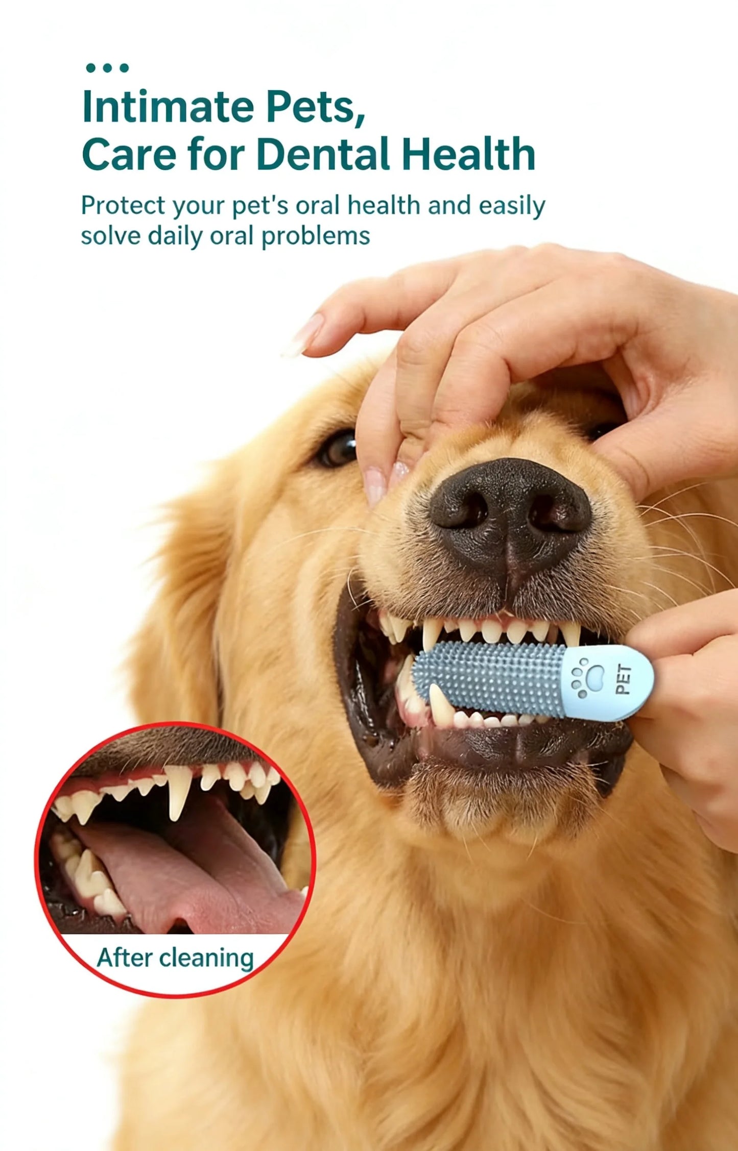 Pet Teeth Cleaning Tool