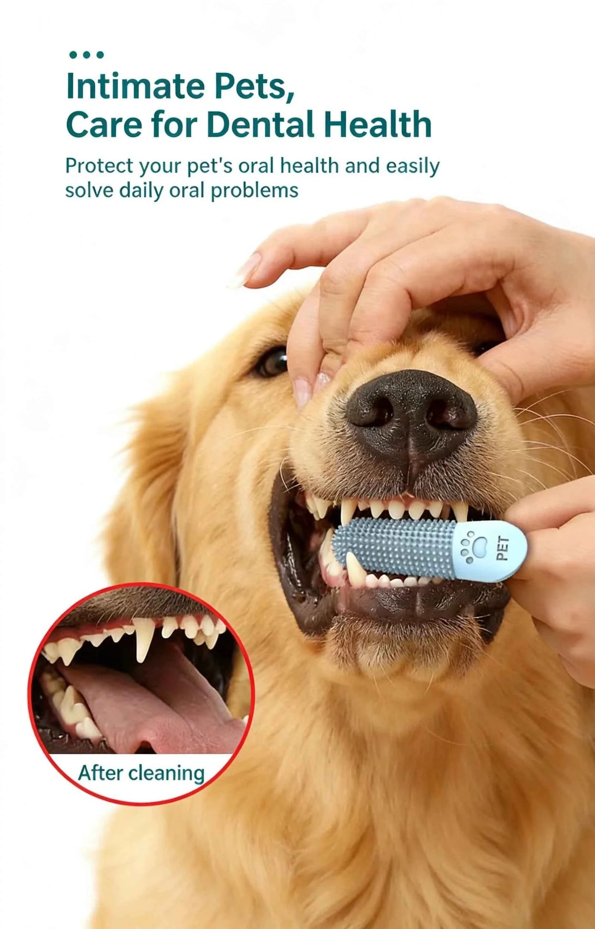 Pet Teeth Cleaning Tool