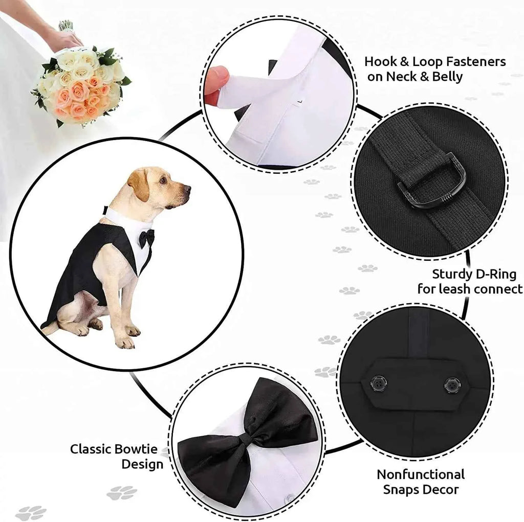 Doggy Tuxedo