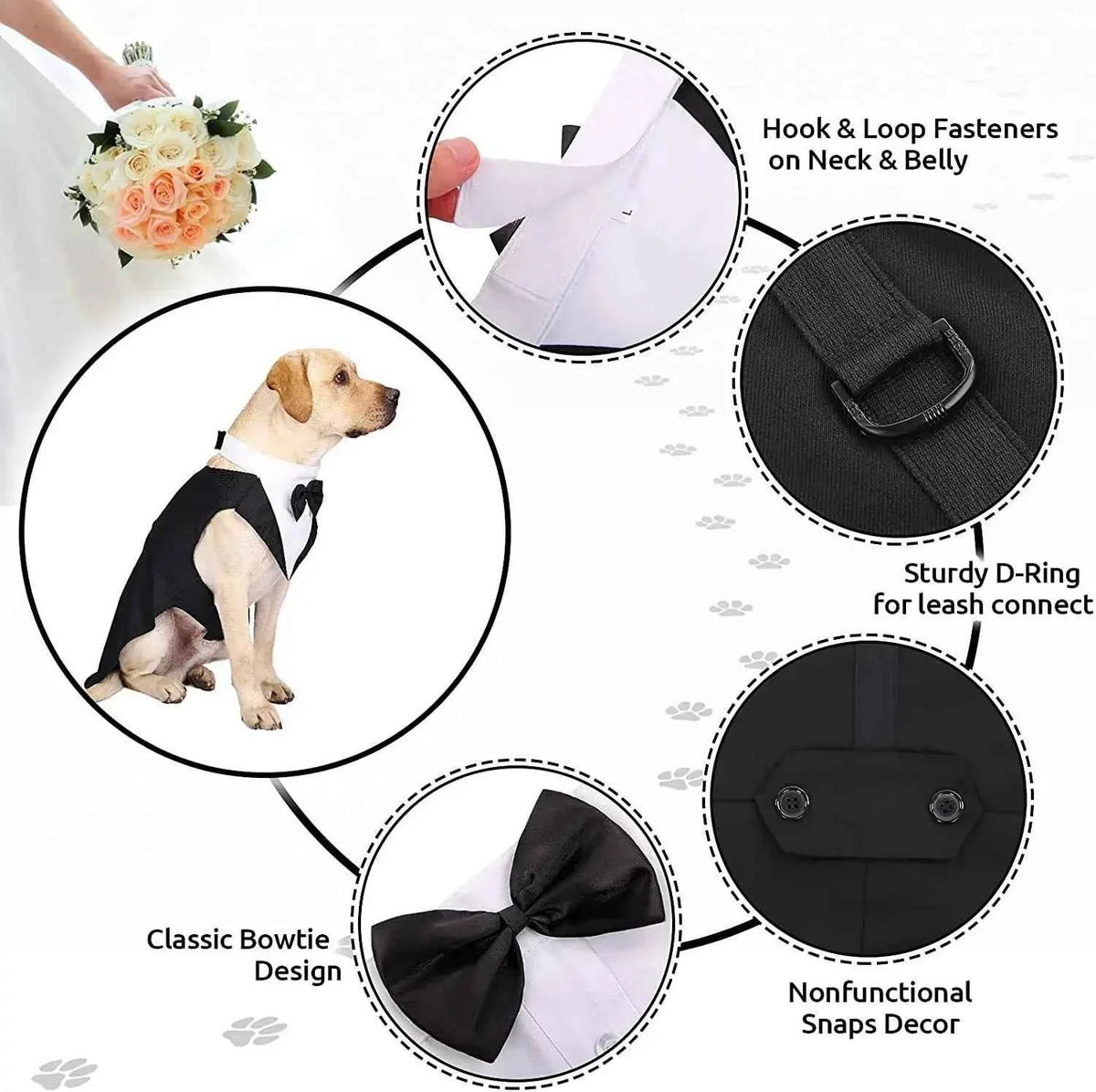 Doggy Tuxedo