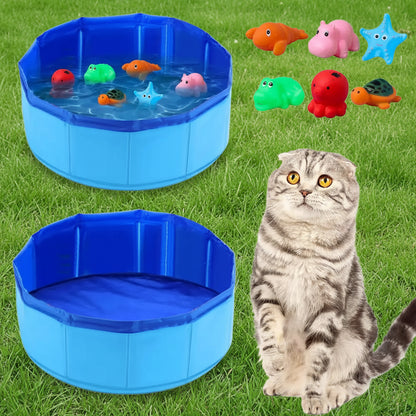 Kitty Play Pool