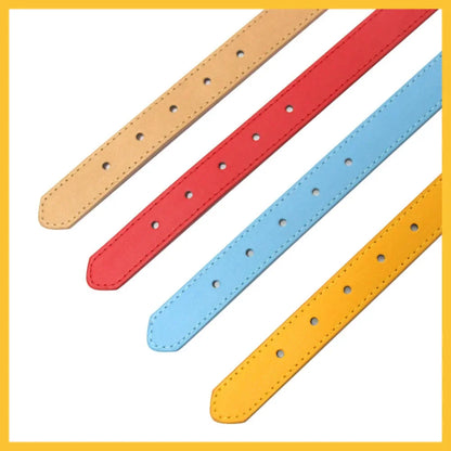 Customizable Pet Collar