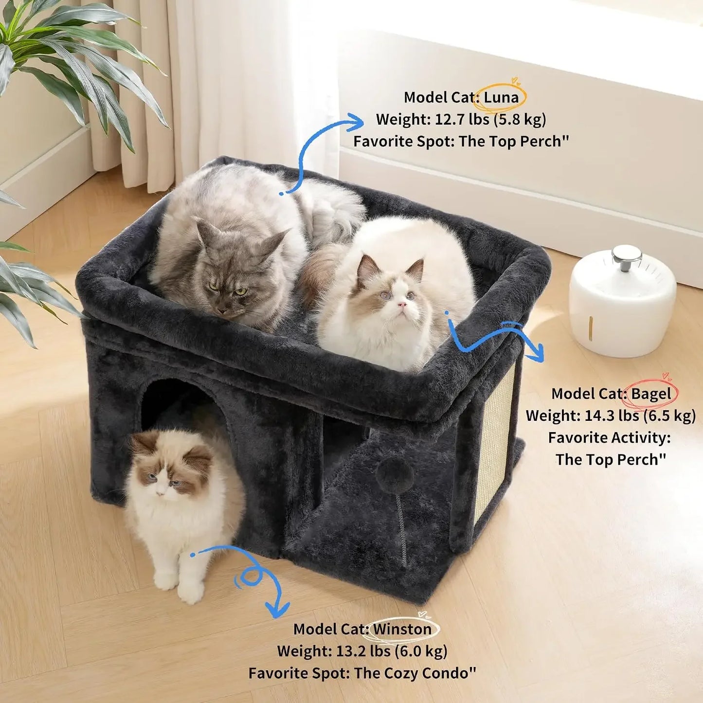 Cat Condo