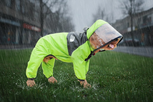 Pet Rain Coat