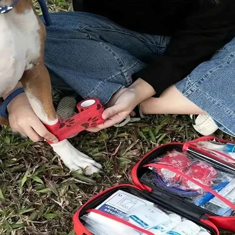 Portable Pet First Aid Kit: Essential Care for Your Furry Friends