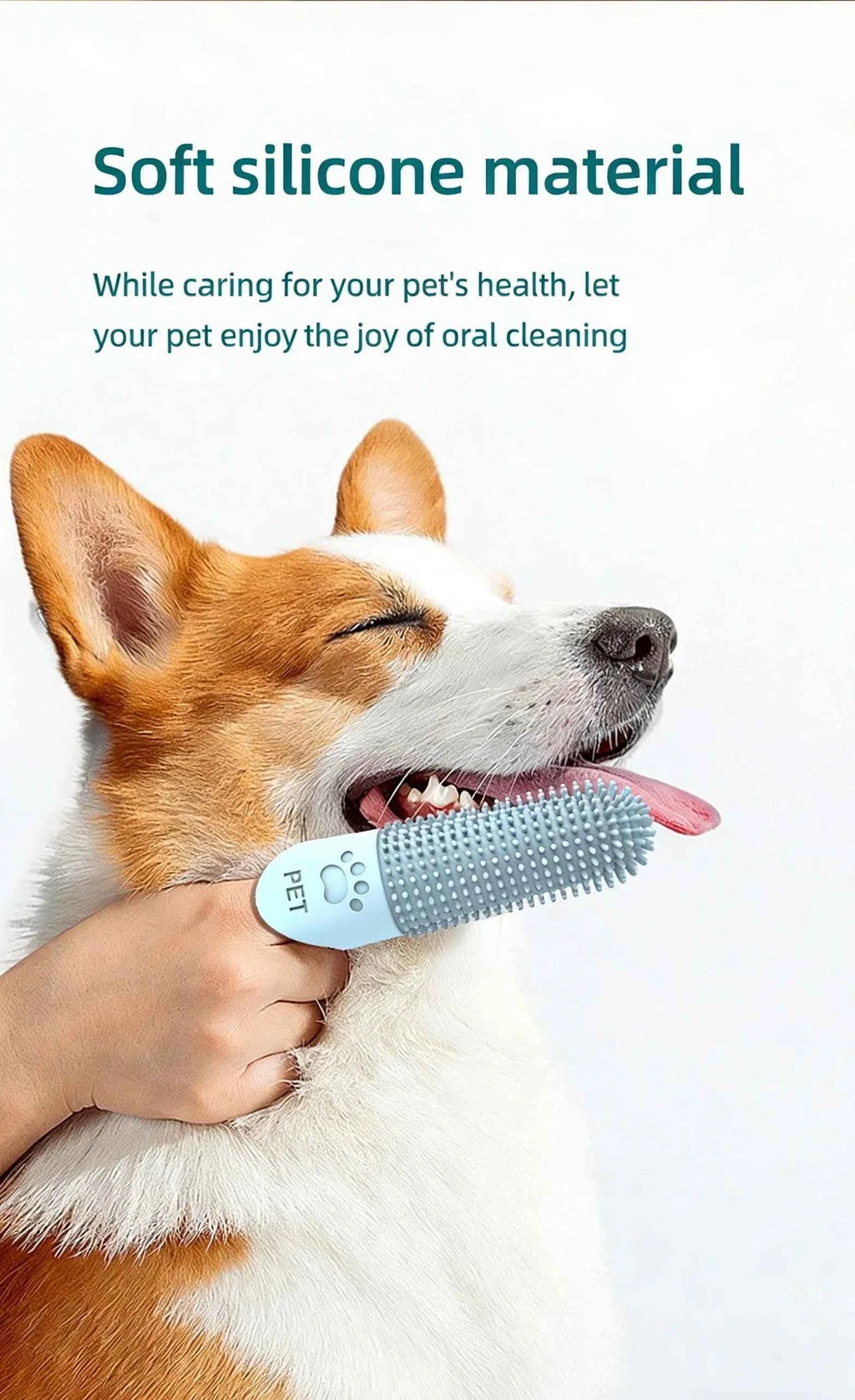 Pet Teeth Cleaning Tool