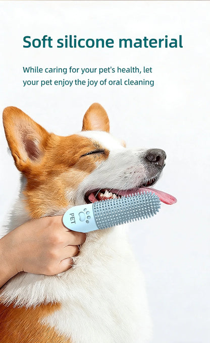 Pet Teeth Cleaning Tool