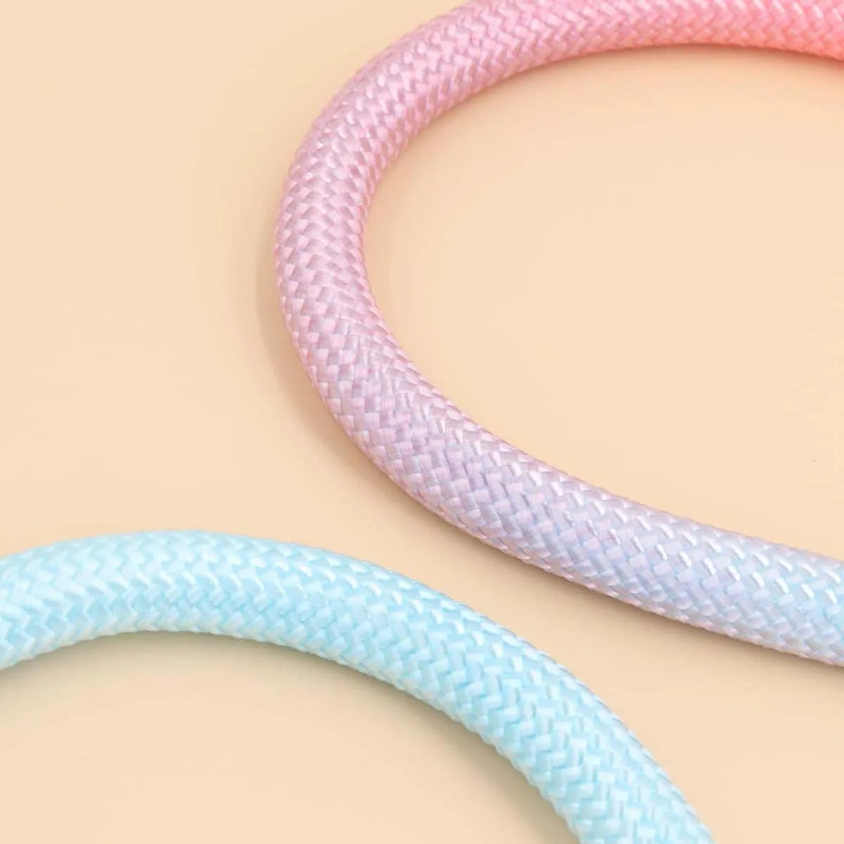 Large Breed Leash