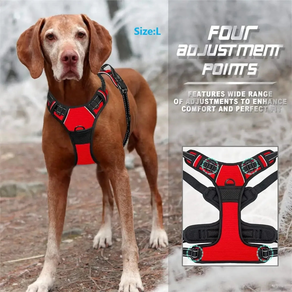 Dog Harness Collar & Leash Set Side View