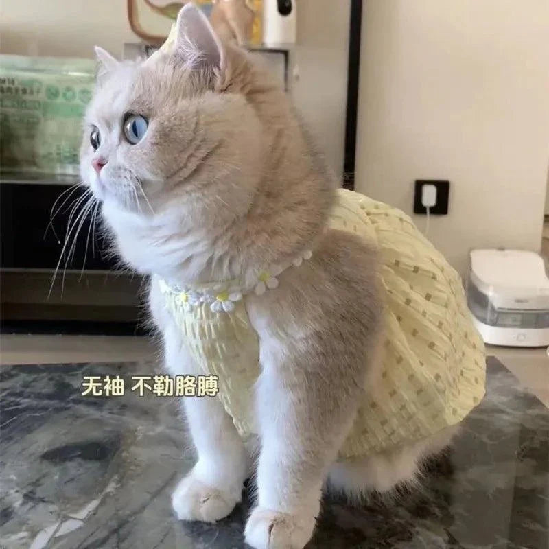 Kitty Summer Dress