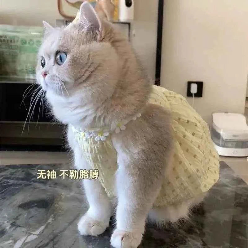Kitty Summer Dress
