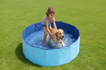 Pet Wading Pool