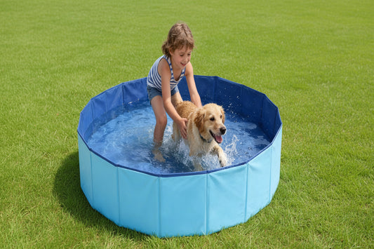 Pet Wading Pool