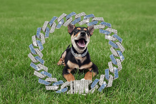 Cuban Link Pet Chain