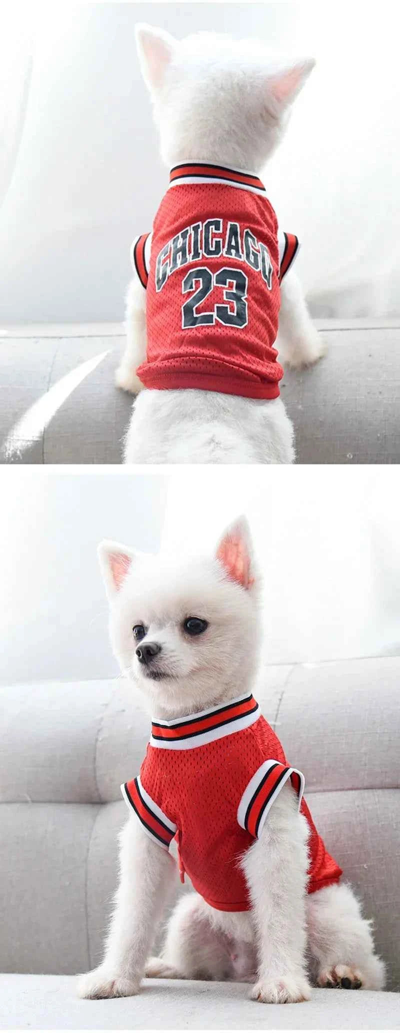 Chicago 23 Pet Jersey